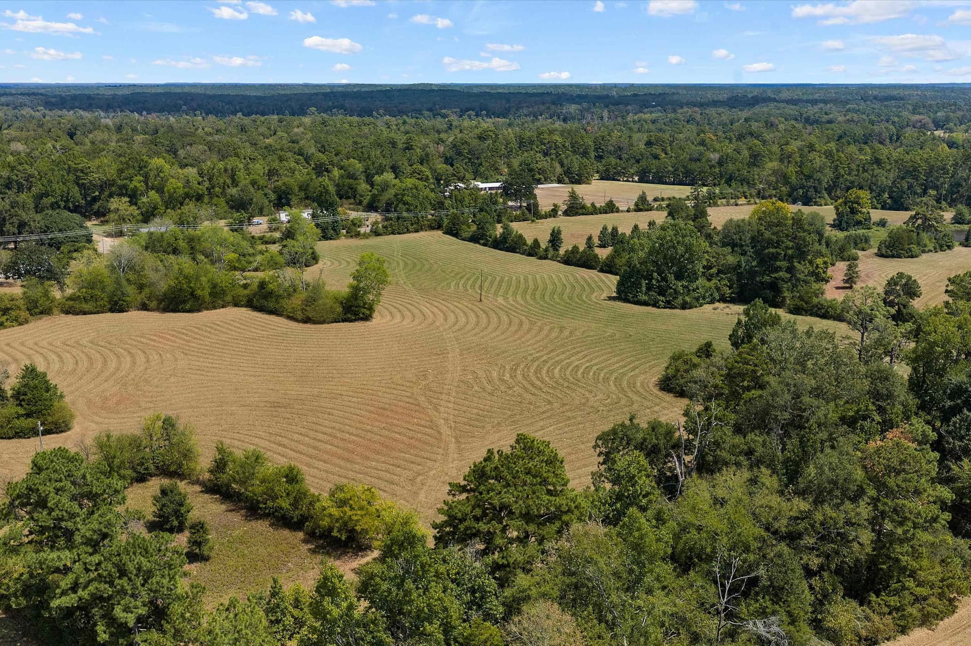 110 acres in Panola County - photo 20