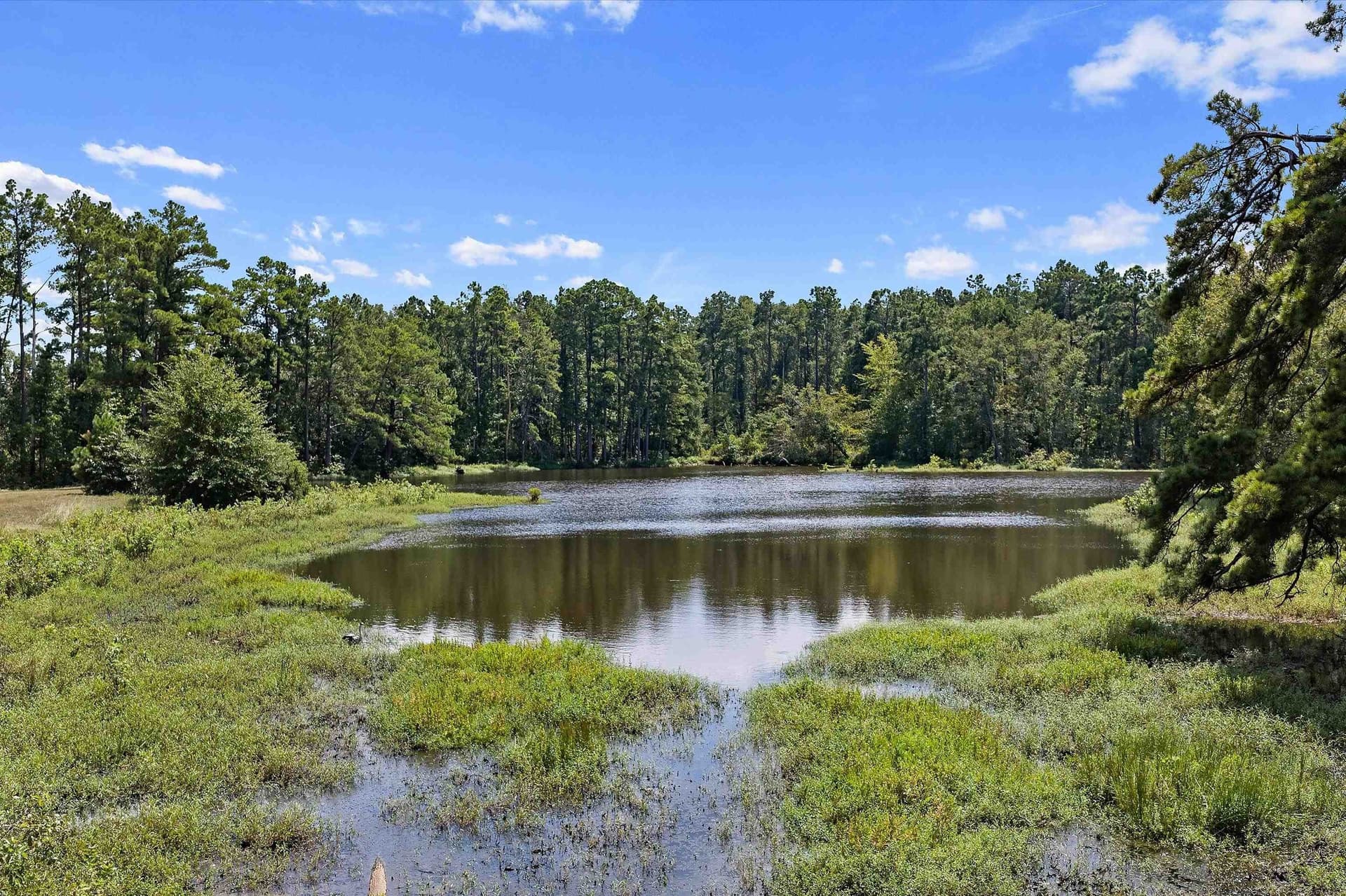 110 acres in Panola County - photo 3