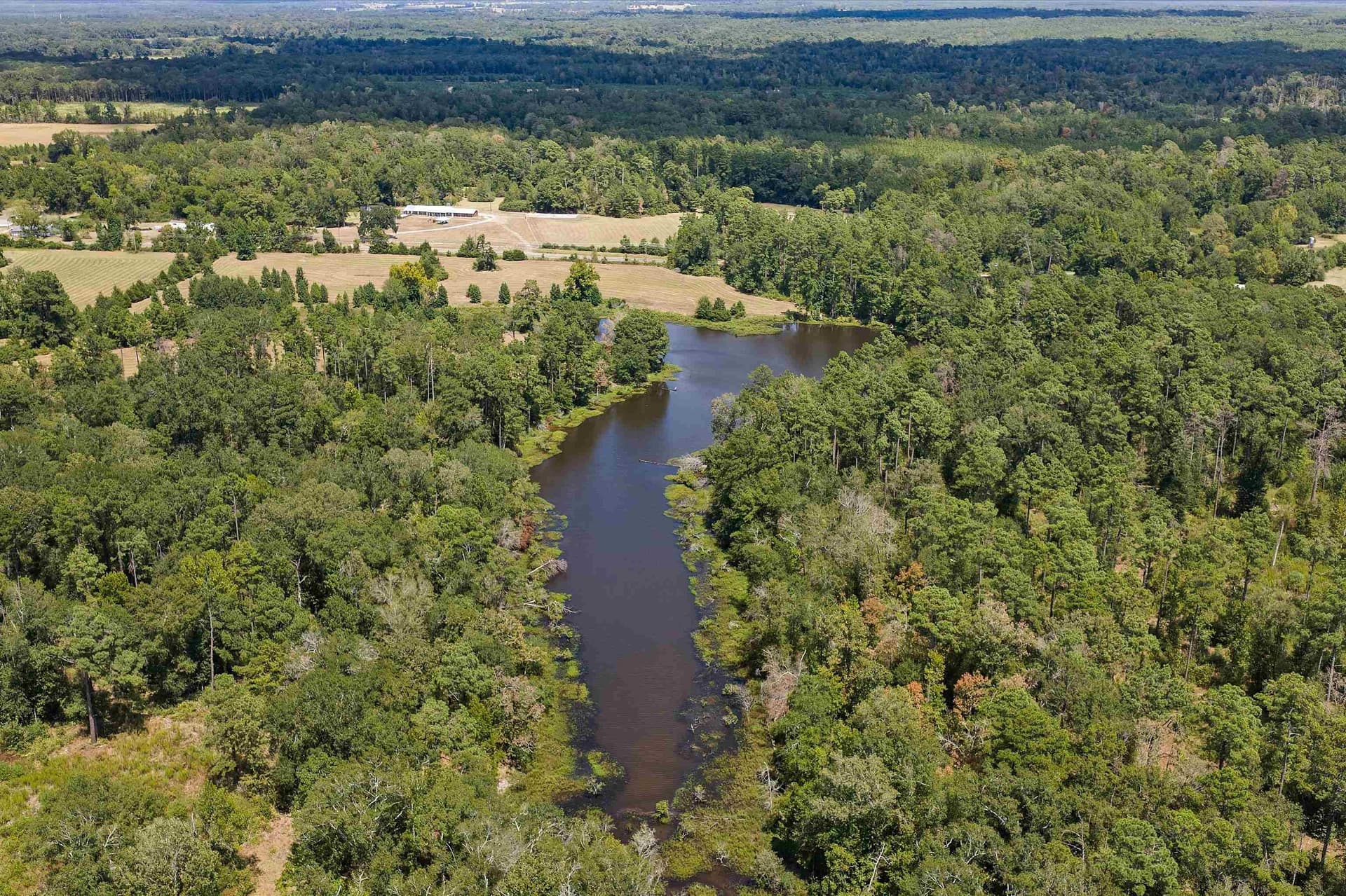 110 acres in Panola County - photo 4