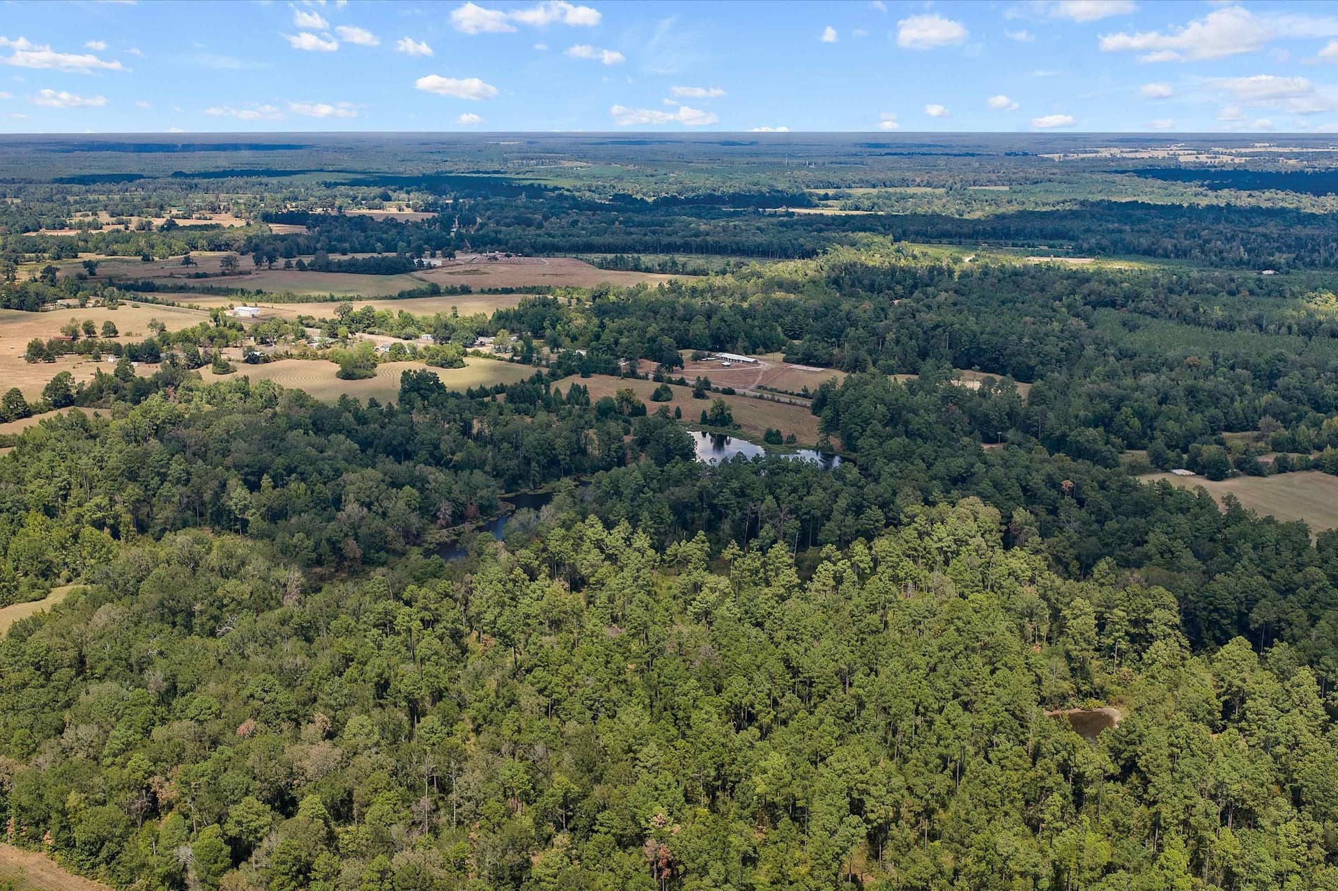 110 acres in Panola County - photo 12