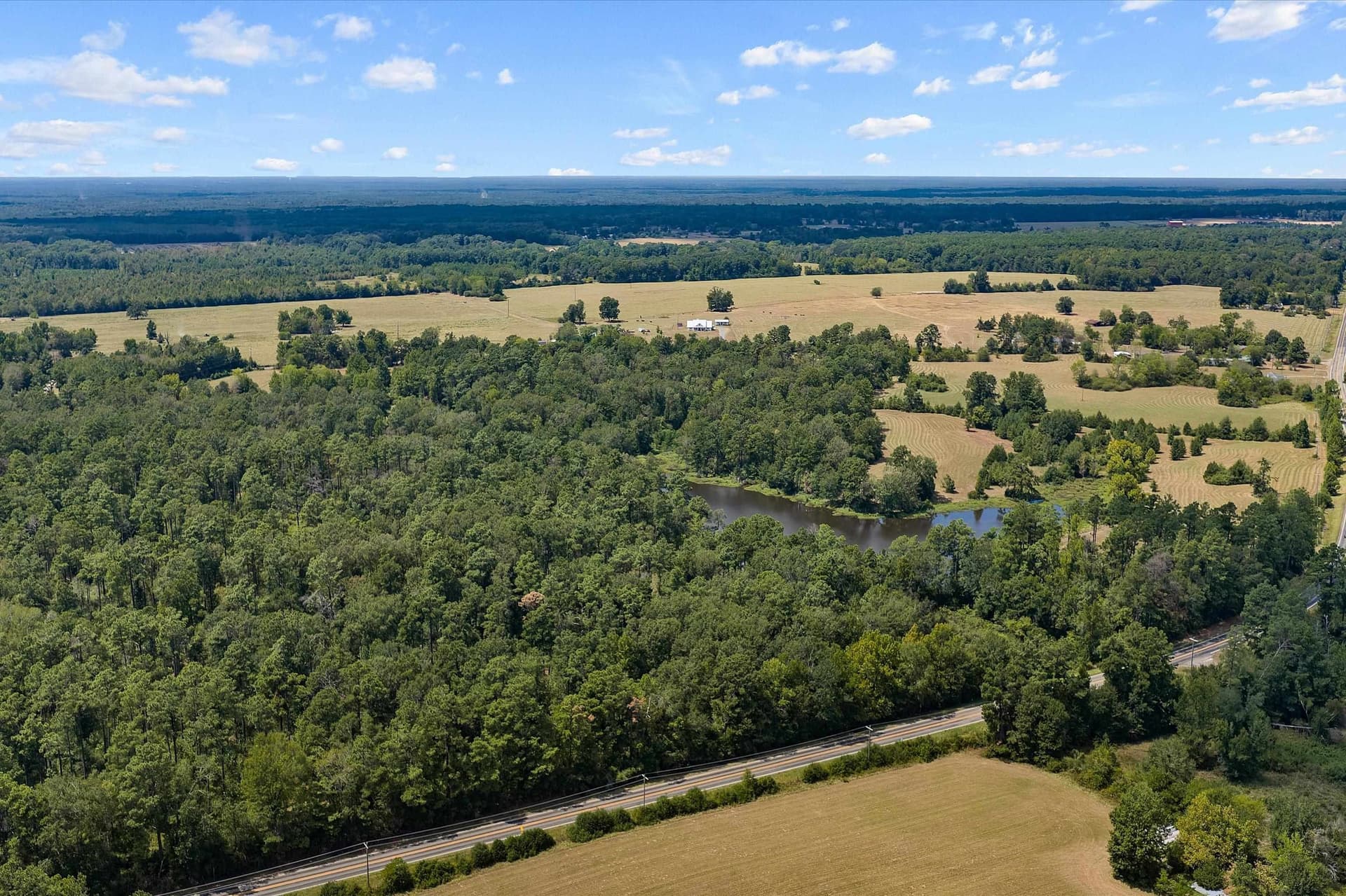 110 acres in Panola County - photo 11