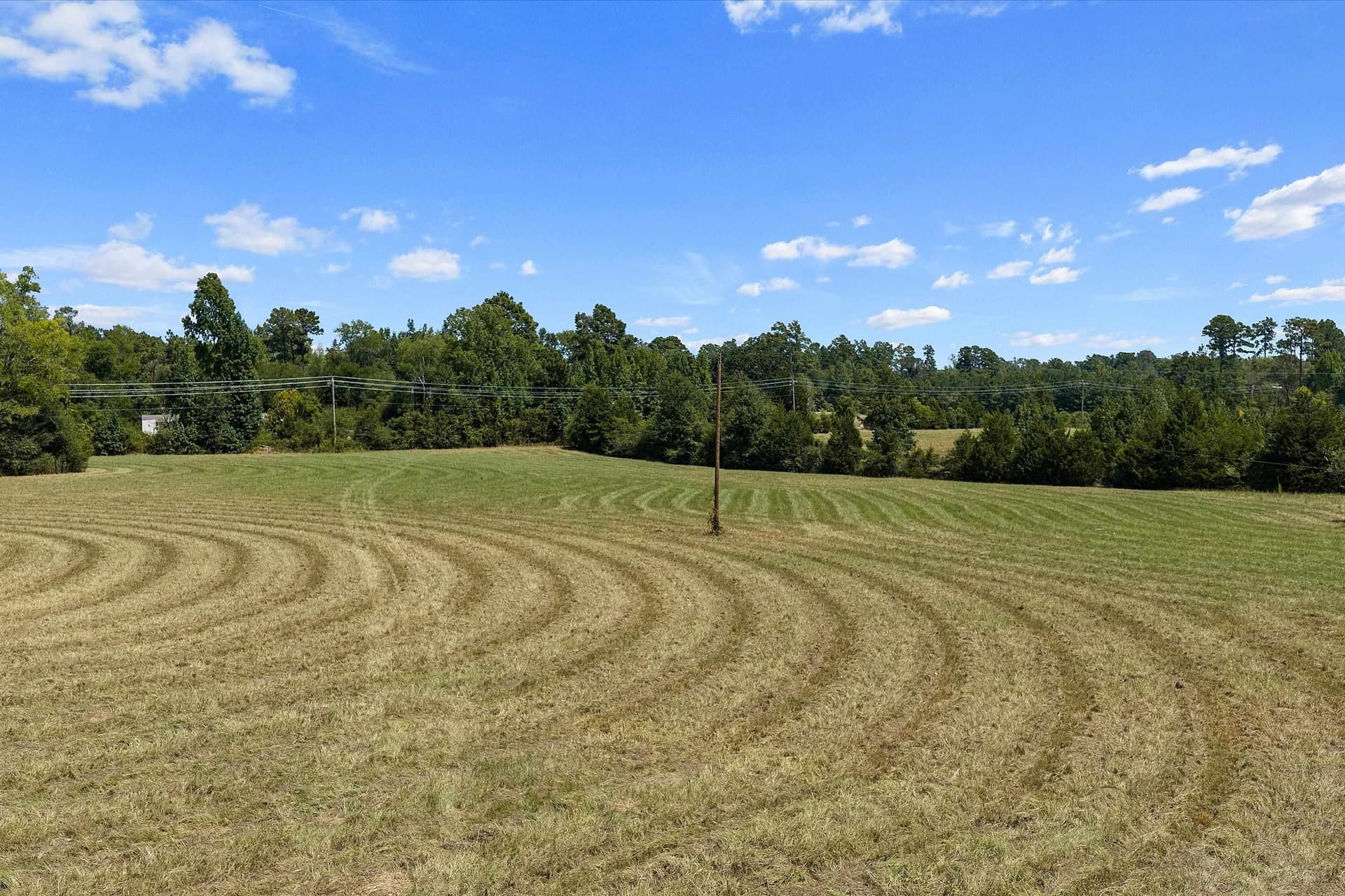 110 acres in Panola County - photo 5