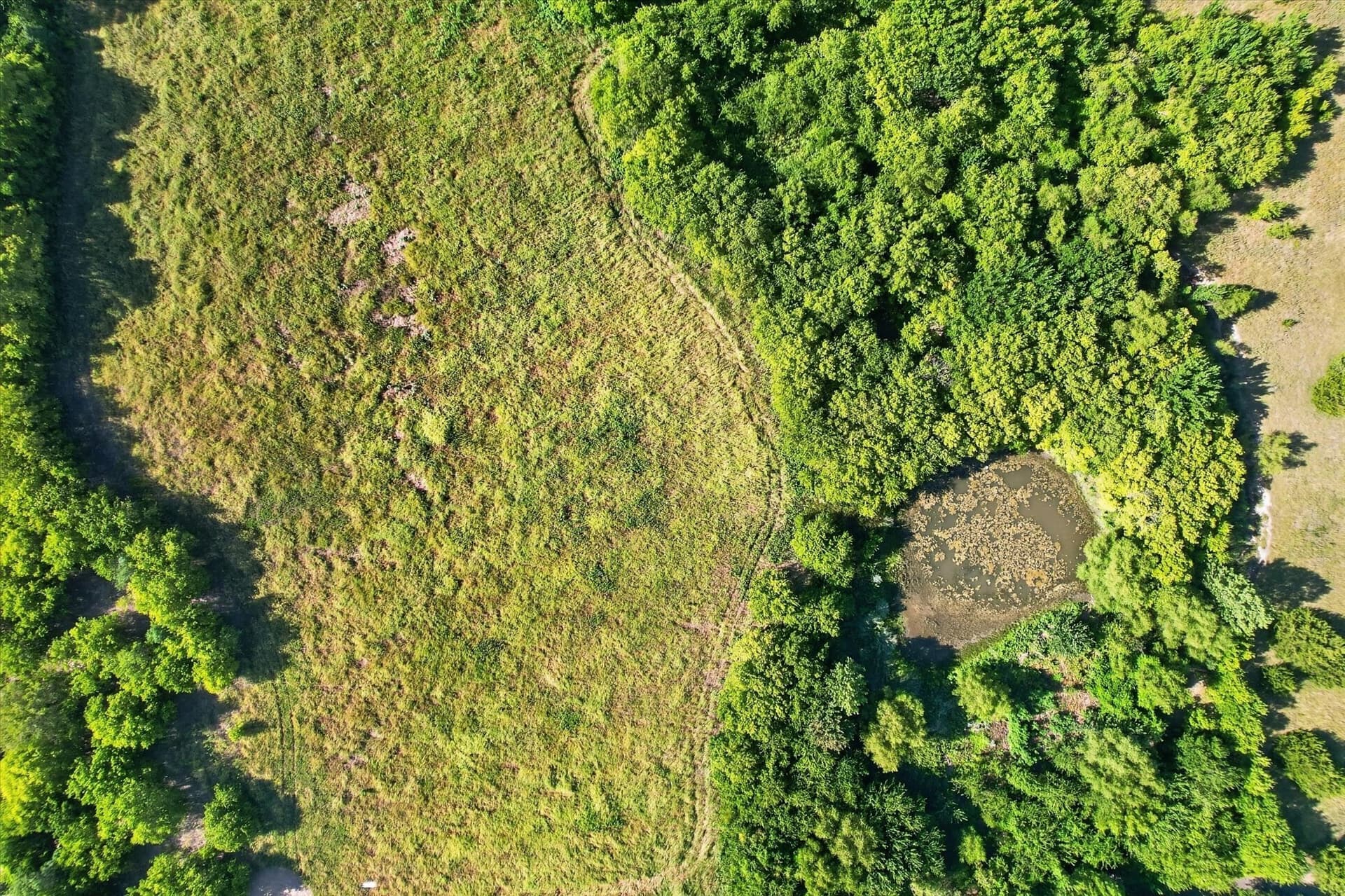 15.52 acres in Denton County - photo 16