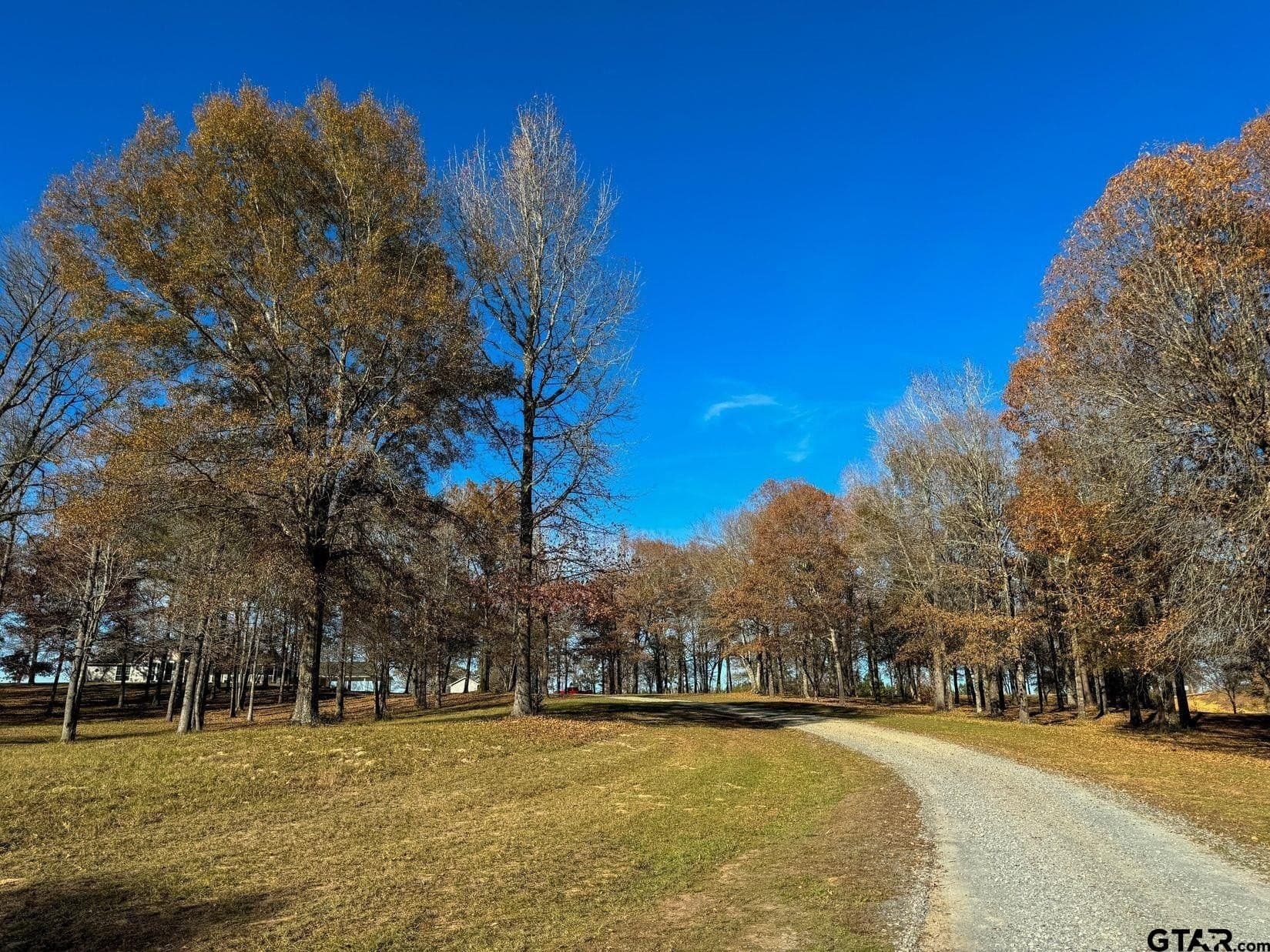 20 acres in Cass County - photo 41