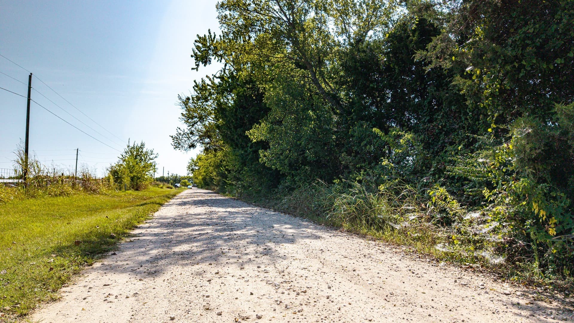 10.01 acres in Van Zandt County gallery image 4