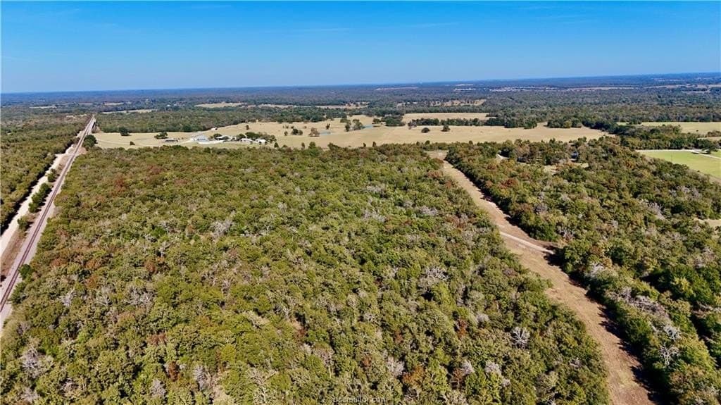 16 acres in Falls County gallery image 4