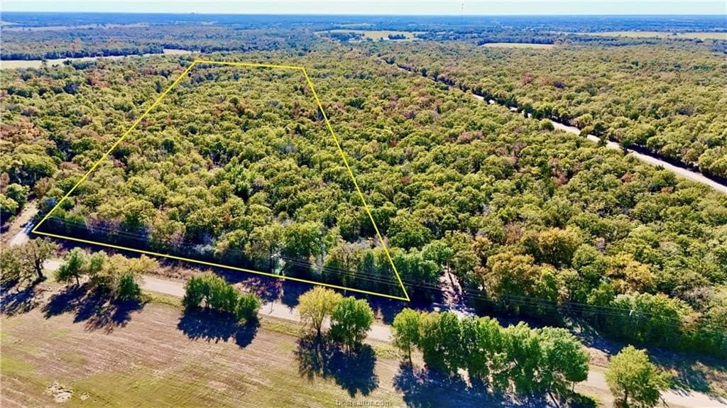 16 acres in Falls County gallery image 2