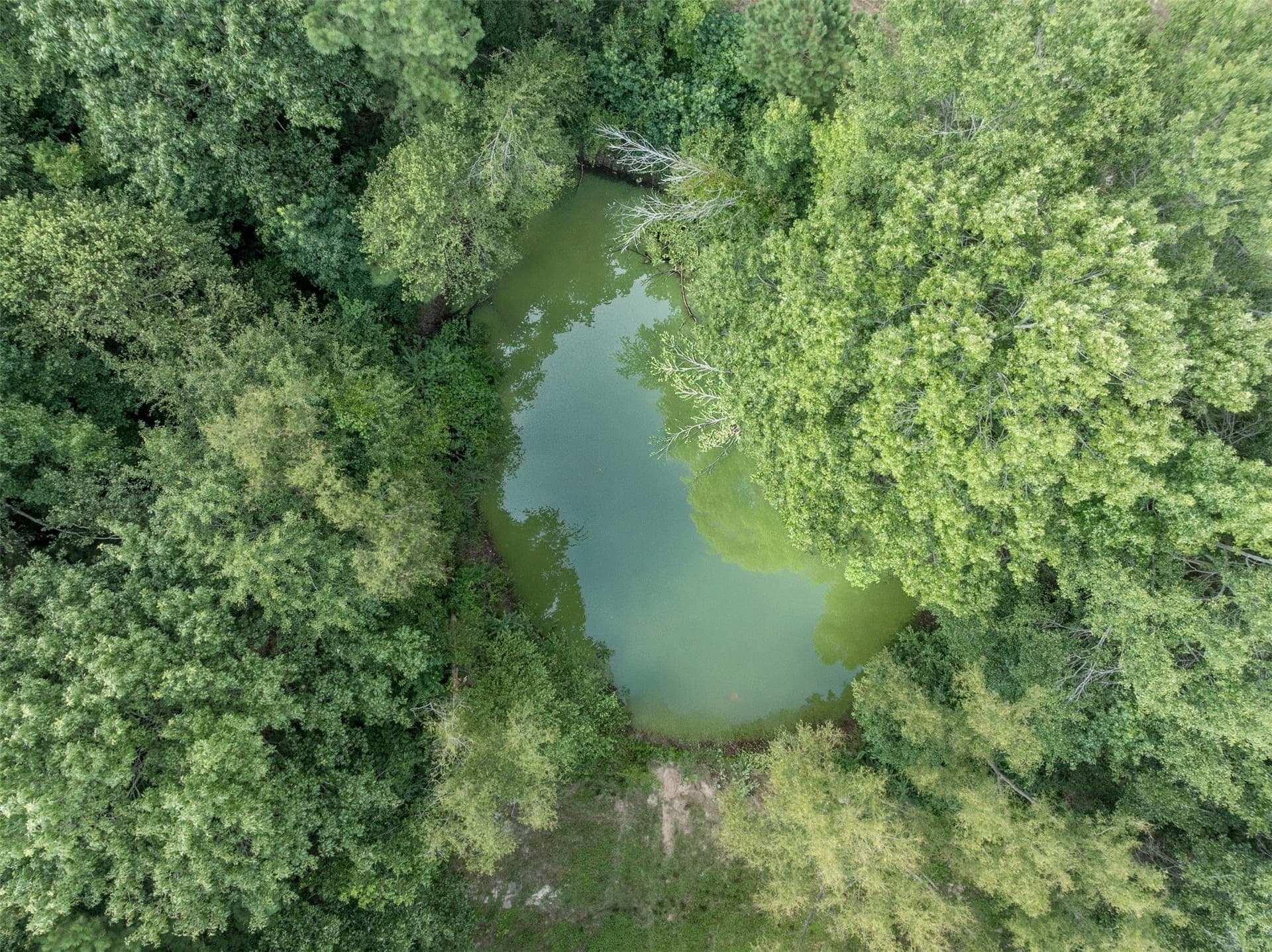 40.17 acres in Upshur County - photo 39