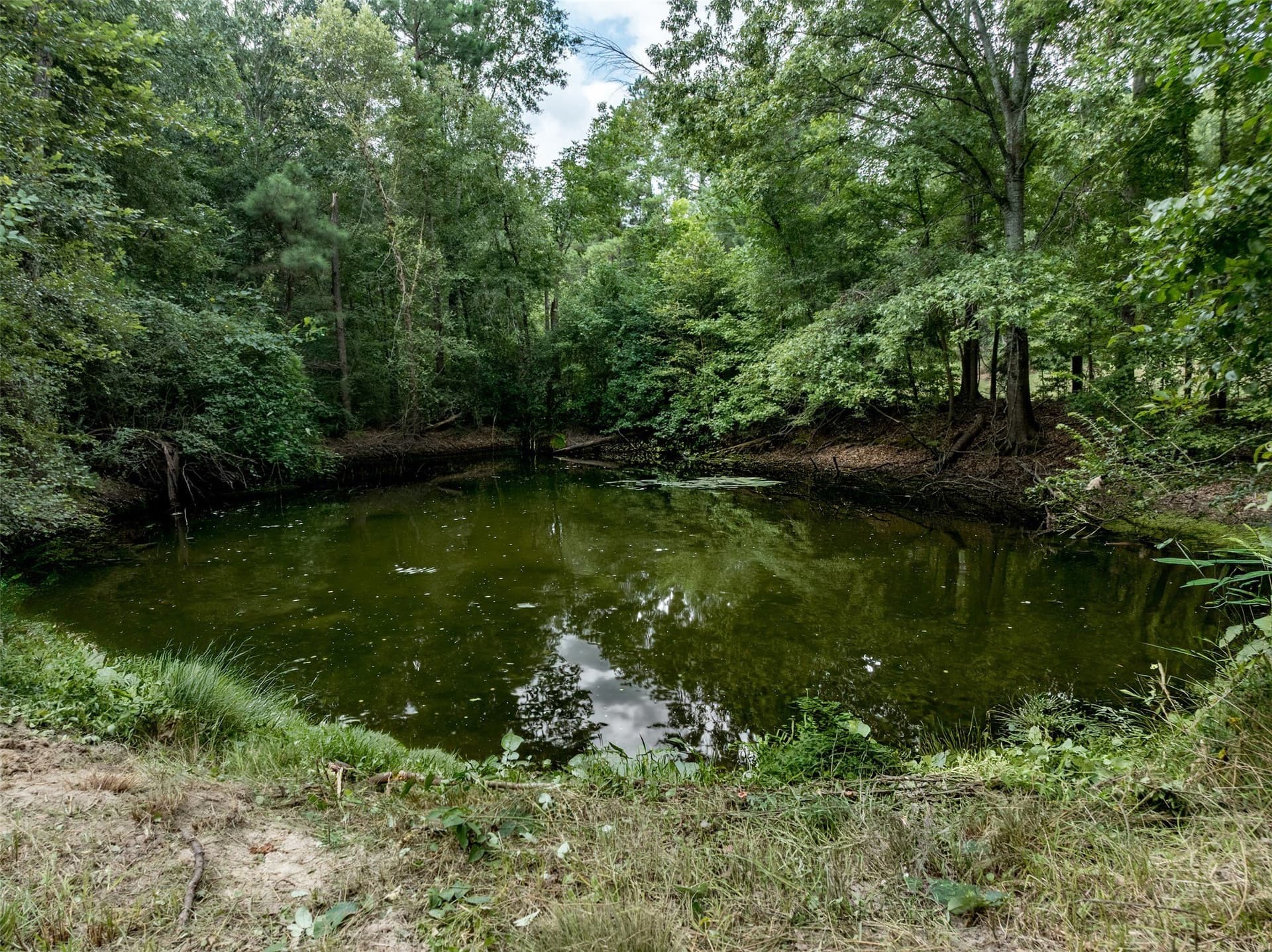 40.17 acres in Upshur County - photo 38
