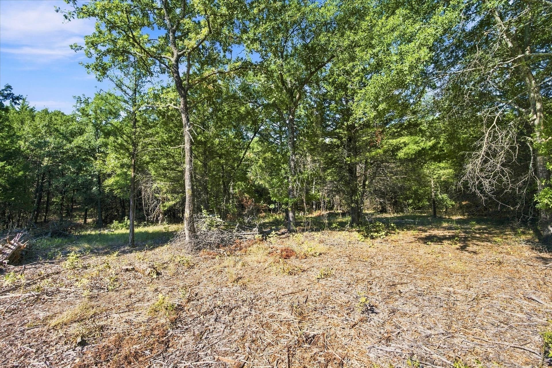 1.5 acres in Hunt County - photo 7