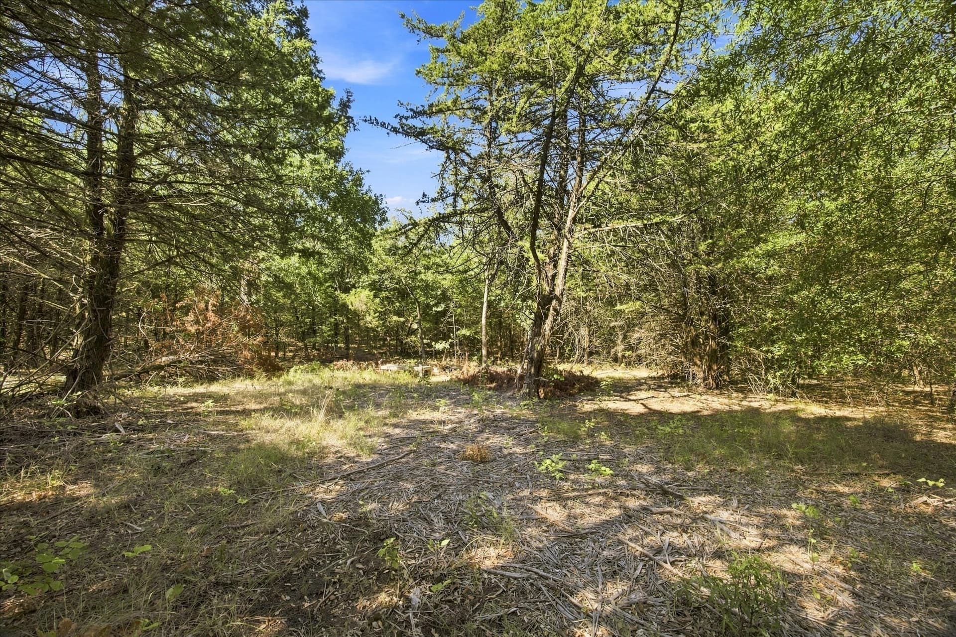 1.5 acres in Hunt County - photo 8