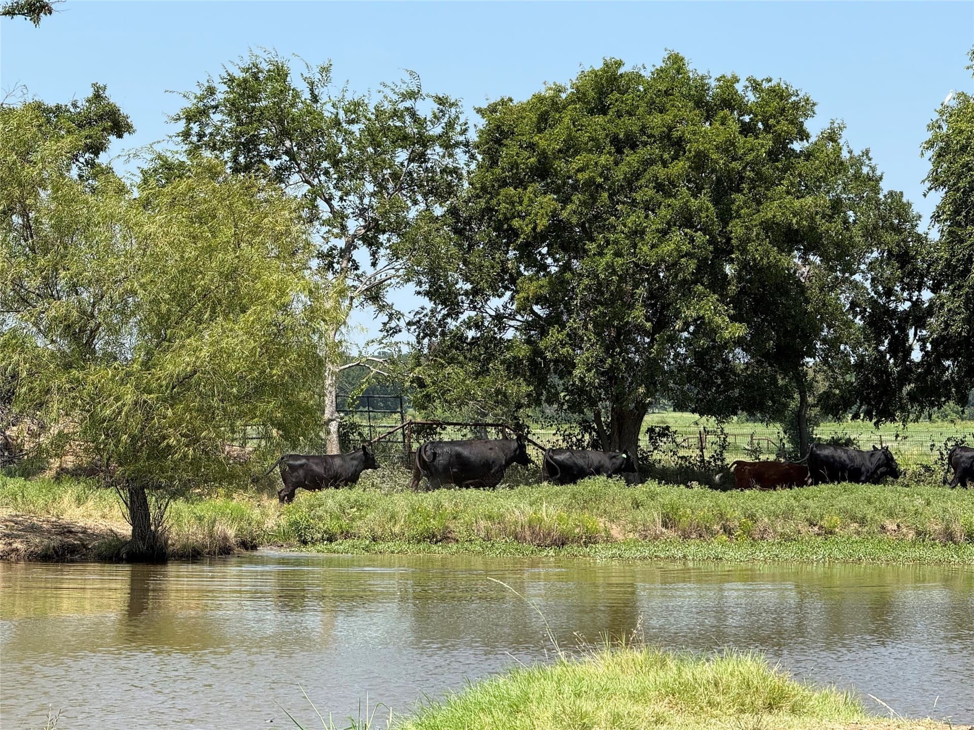 88 acres in Cooke County - photo 11