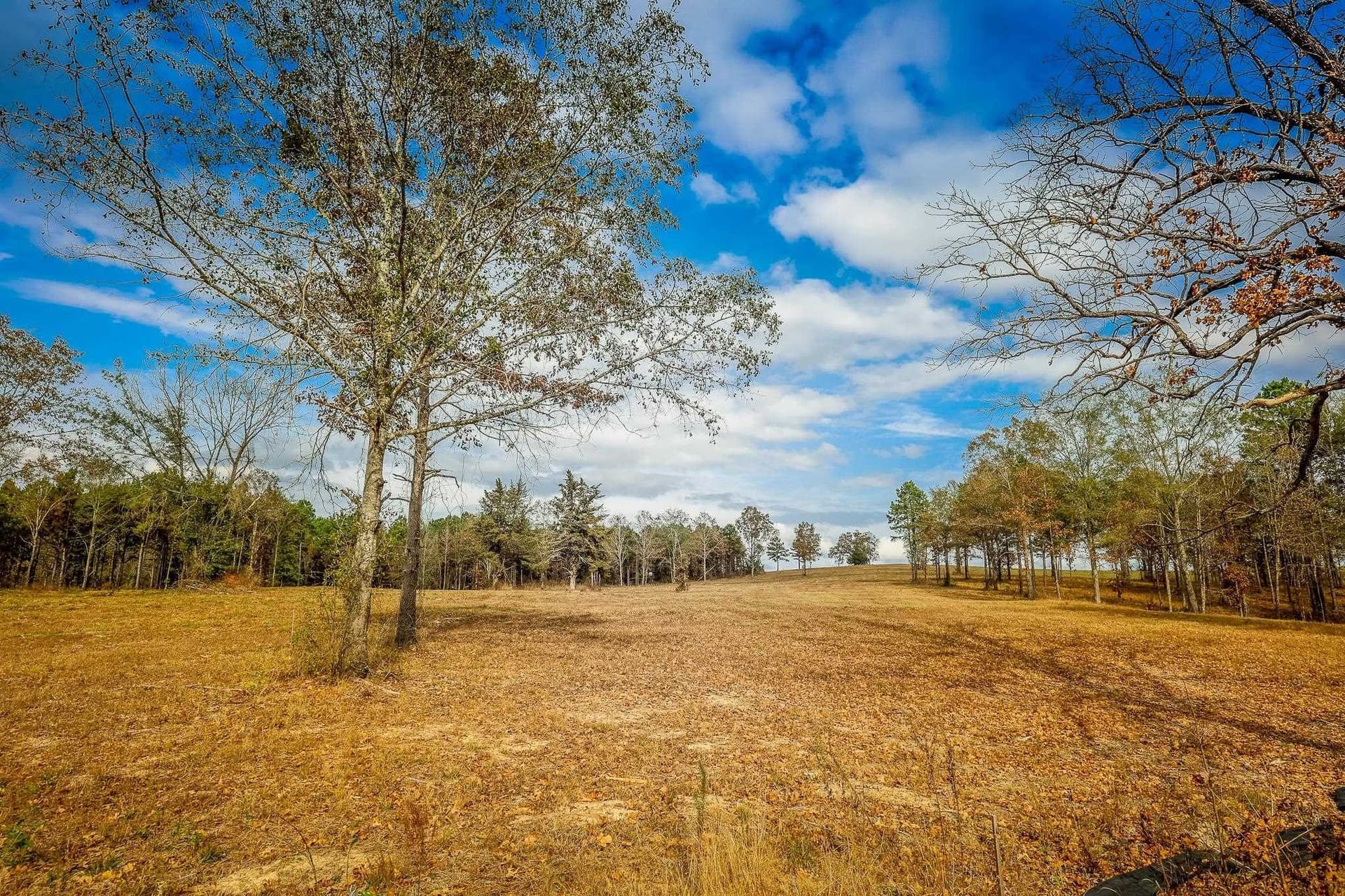 26 acres in Smith County gallery image 4