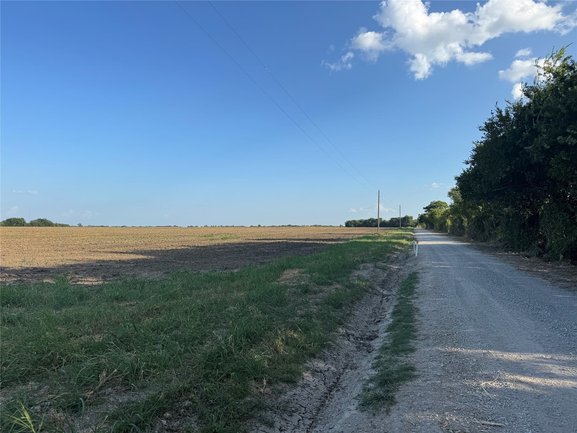 12 acres in Fannin County - photo 5