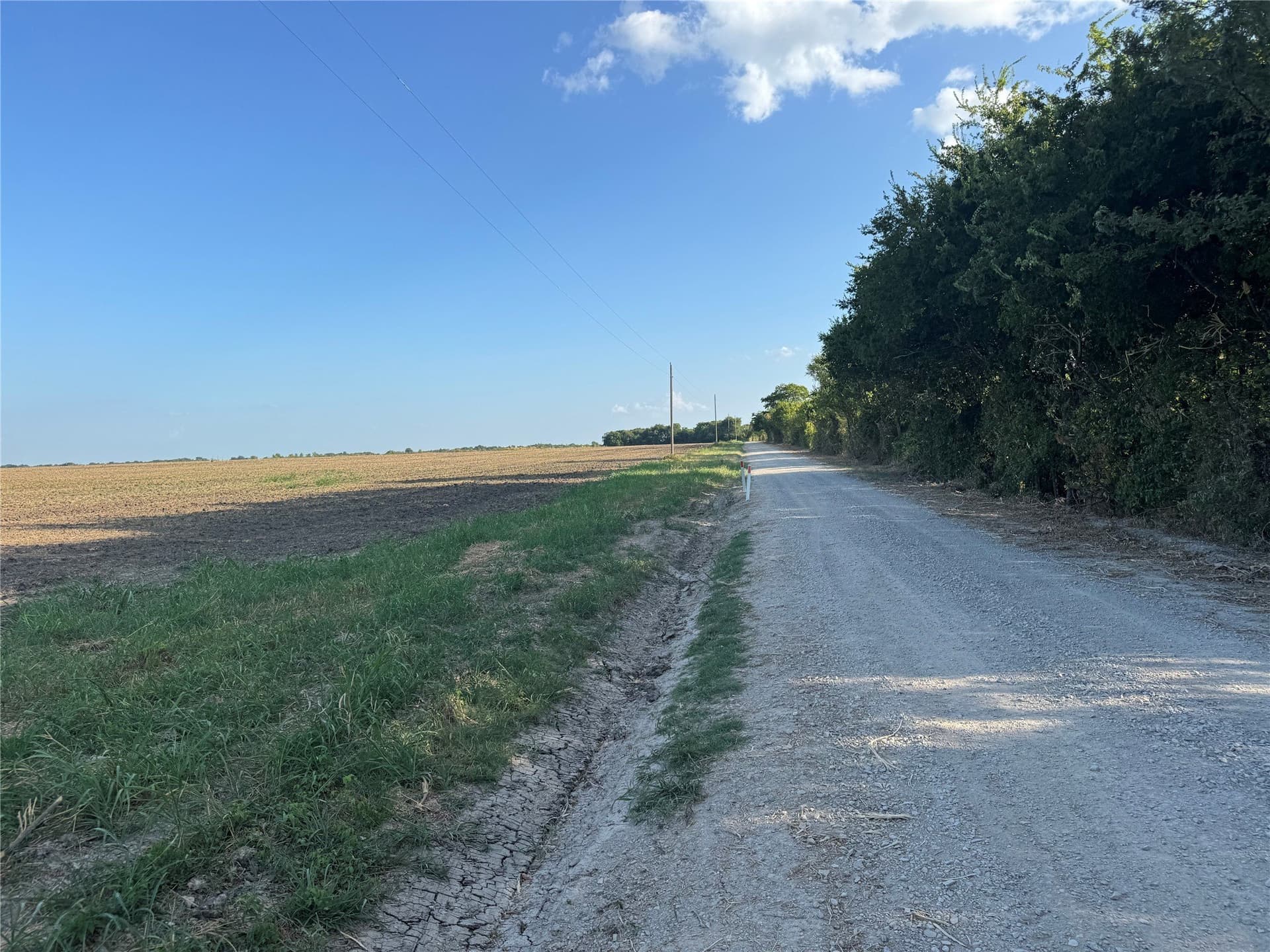 12 acres in Fannin County - photo 17
