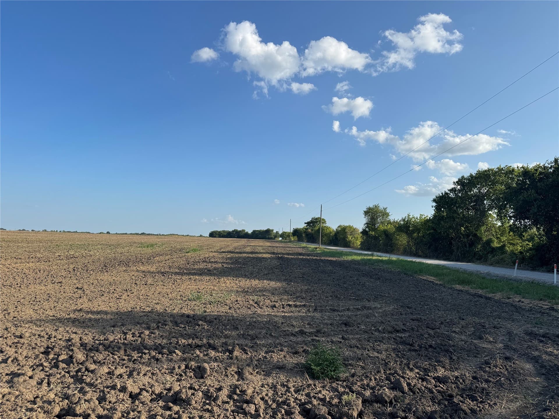 12 acres in Fannin County - photo 3