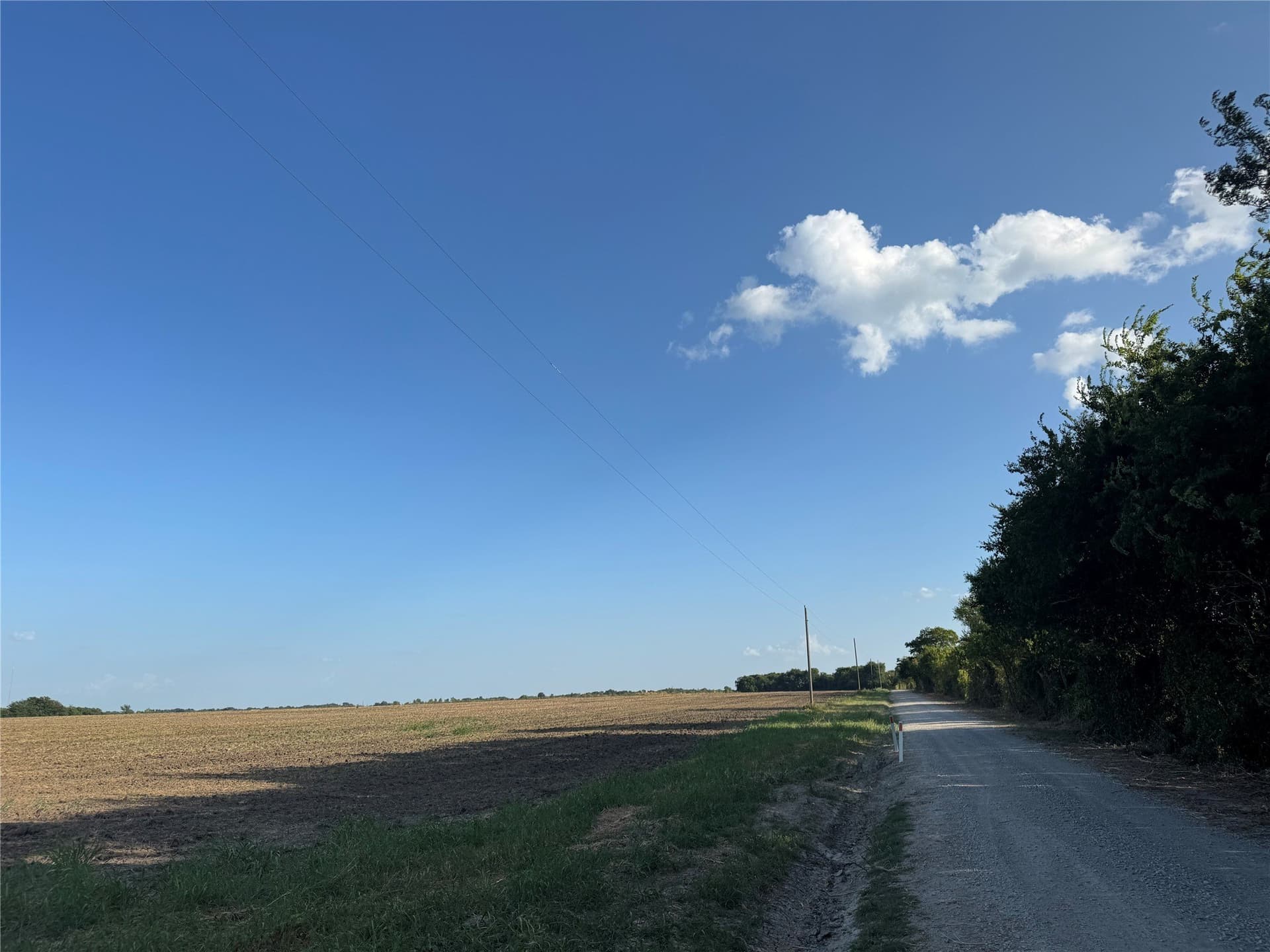 12 acres in Fannin County - photo 2