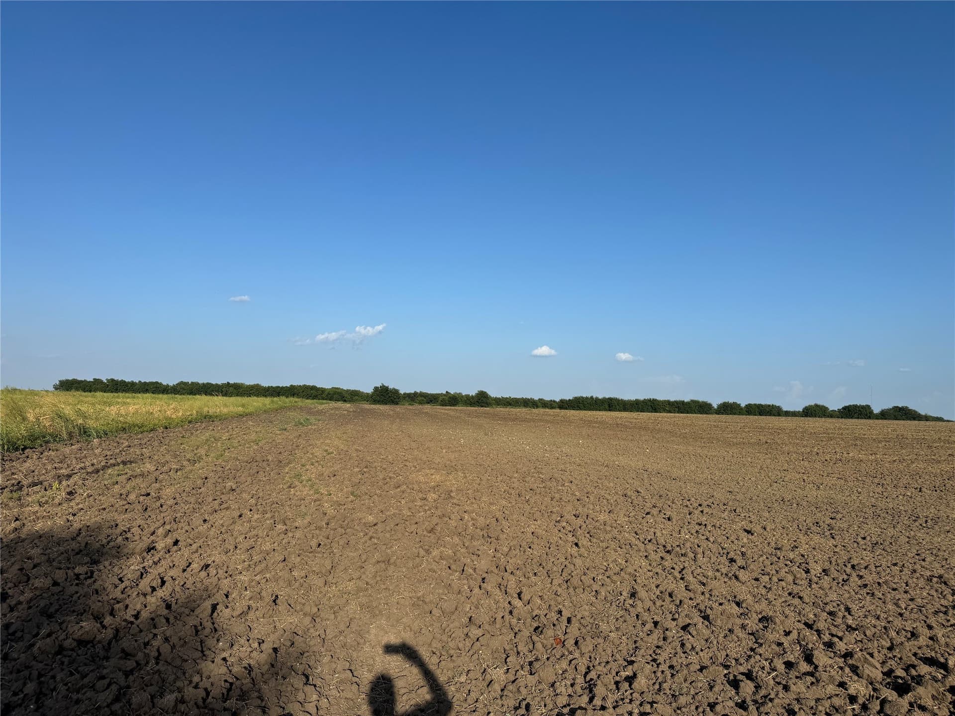 12 acres in Fannin County - photo 8
