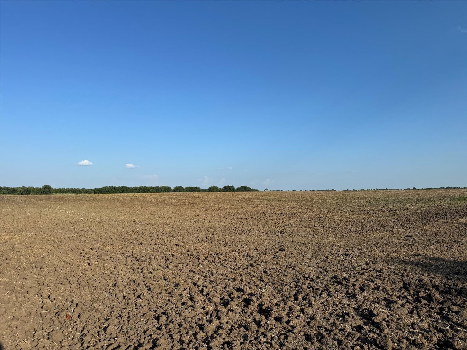 12 acres in Fannin County - photo 9