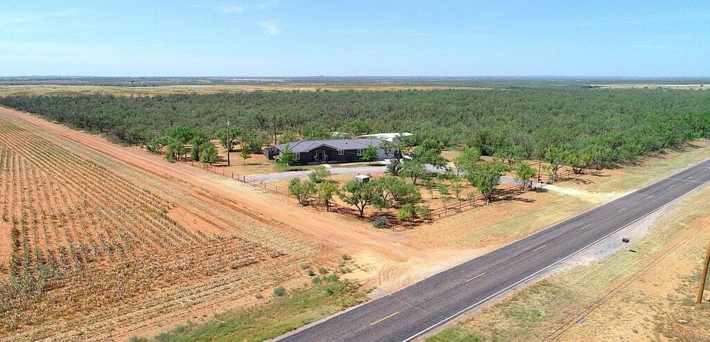 47.2 acres in Mitchell County - photo 4