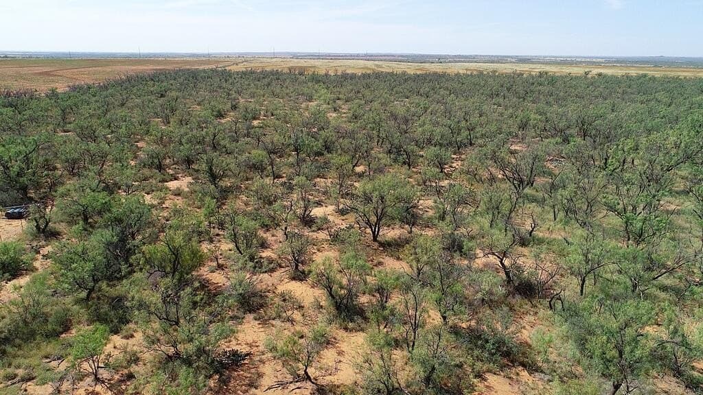 47.2 acres in Mitchell County - photo 5