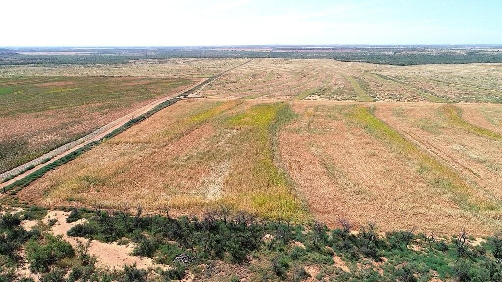 47.2 acres in Mitchell County - photo 6