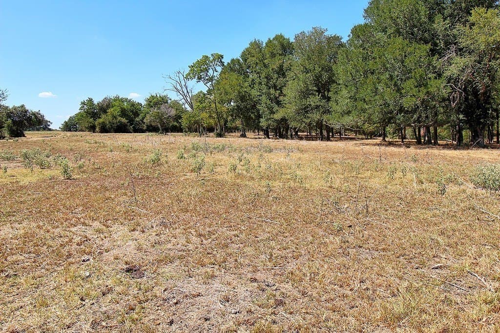 58 acres in Colorado County - photo 23