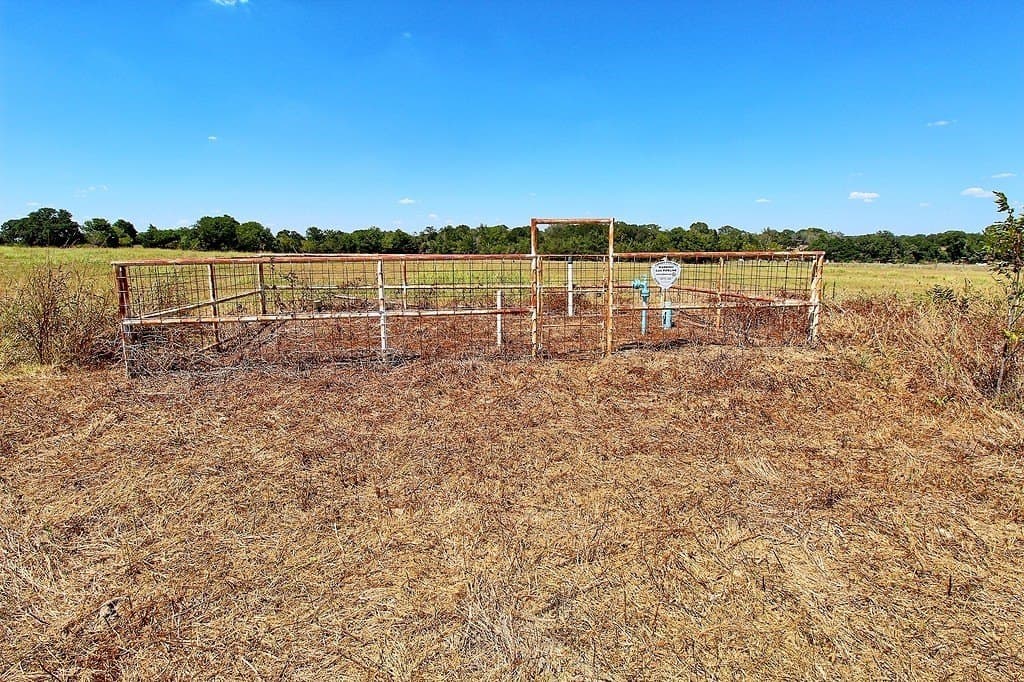 58 acres in Colorado County - photo 20
