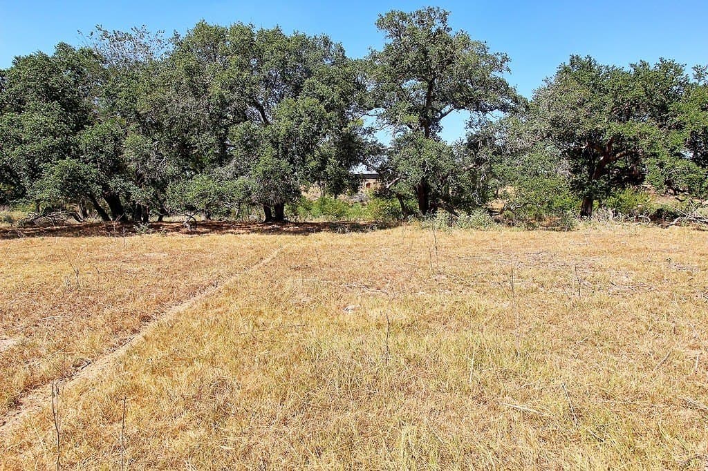 58 acres in Colorado County - photo 6