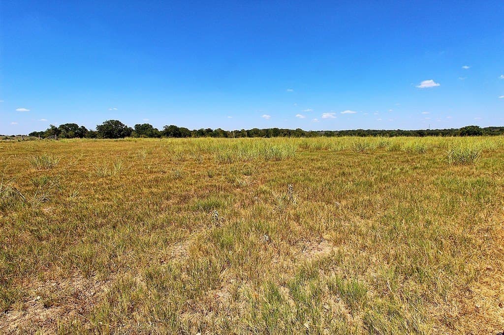 58 acres in Colorado County - photo 21