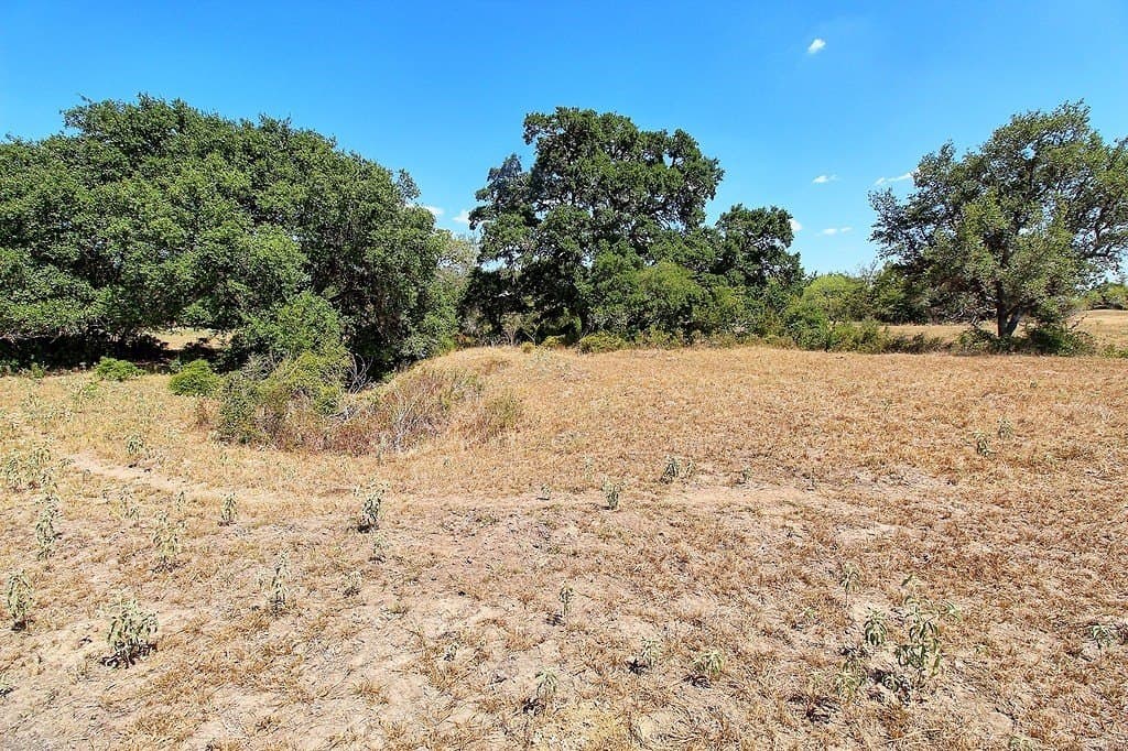 58 acres in Colorado County - photo 18