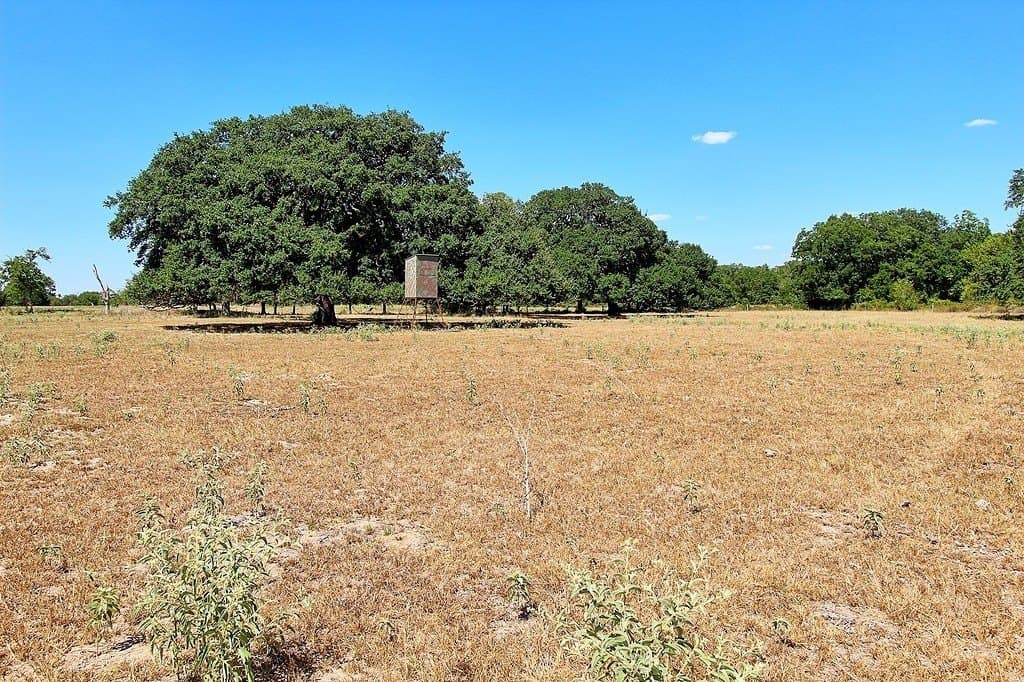 58 acres in Colorado County - photo 8