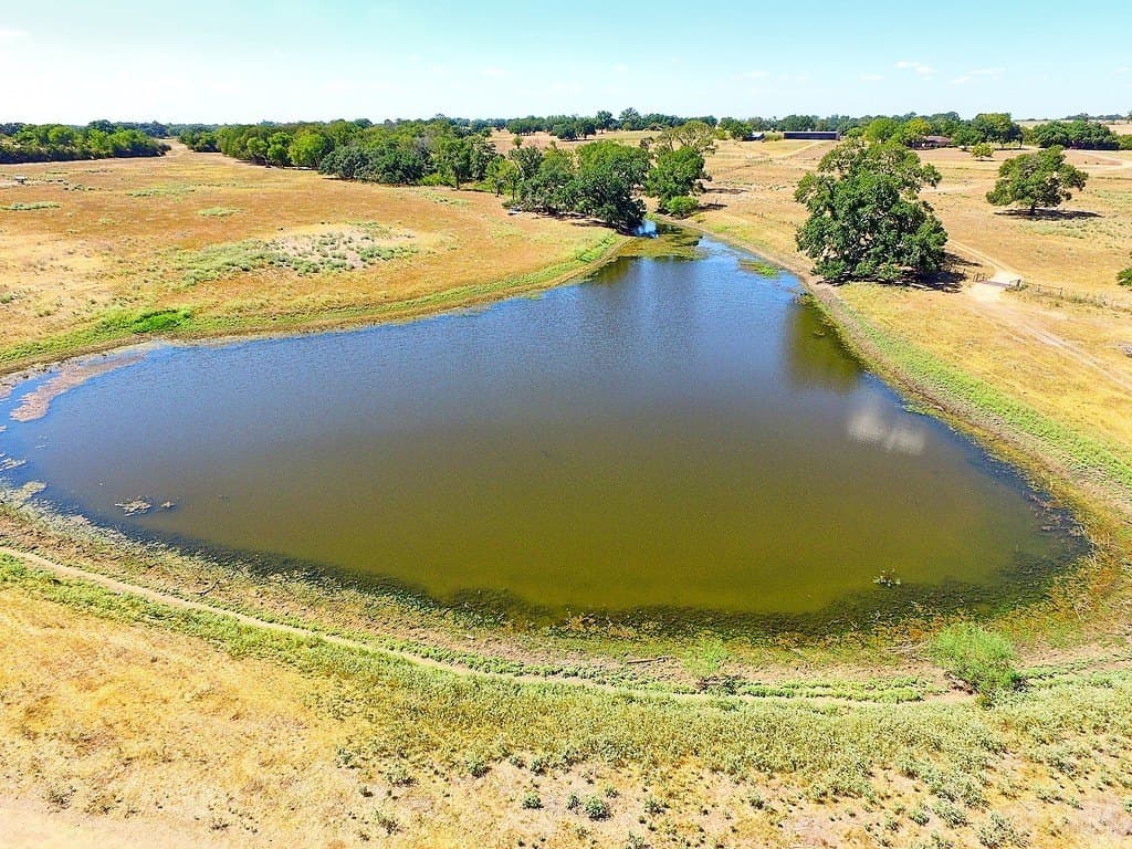 58 acres in Colorado County - photo 10