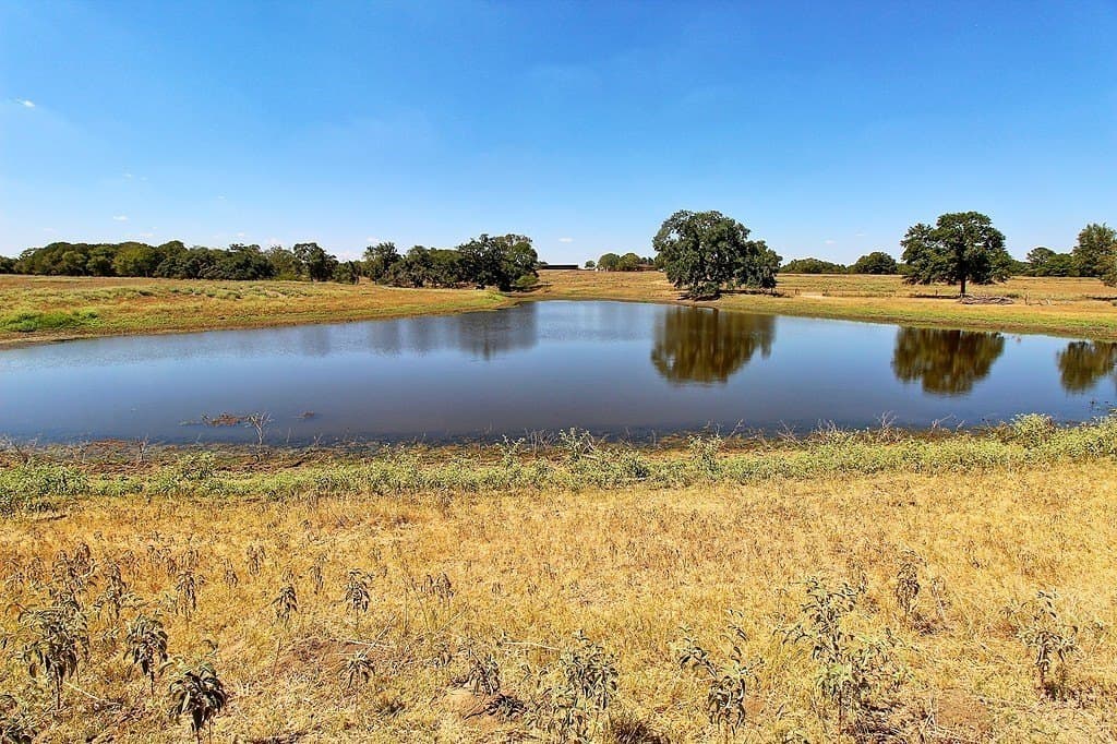 58 acres in Colorado County - photo 11