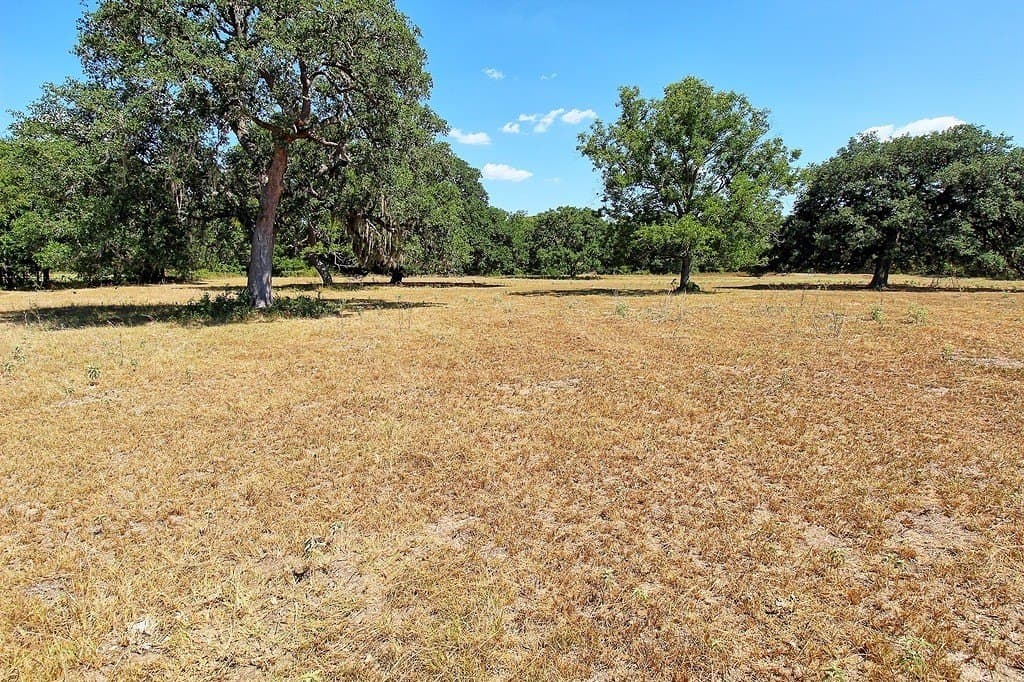 58 acres in Colorado County gallery image 4
