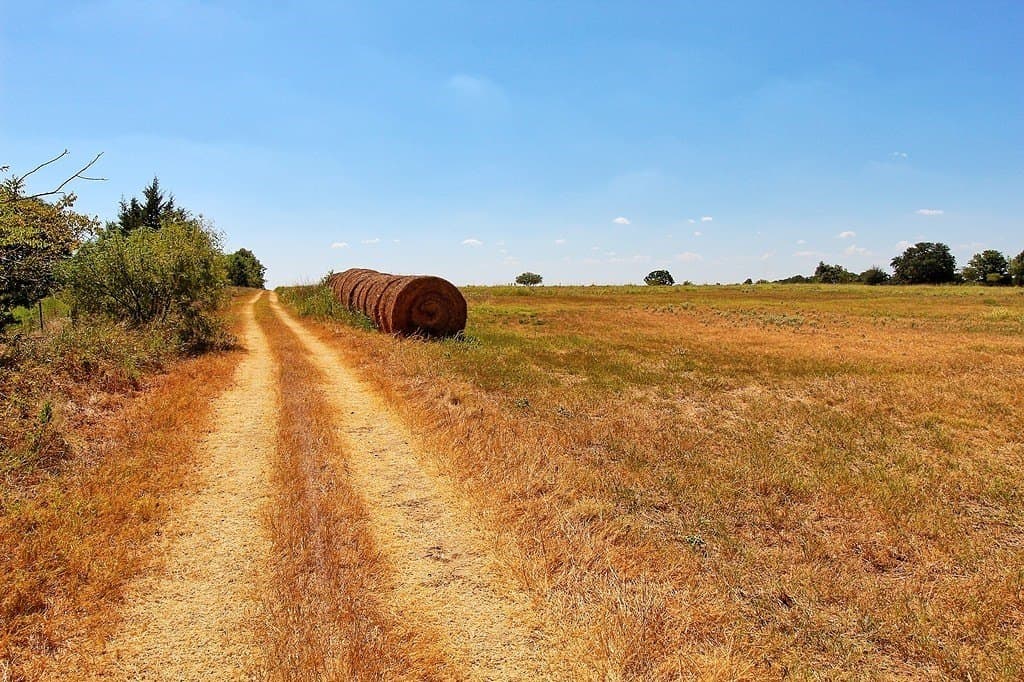 58 acres in Colorado County - photo 19