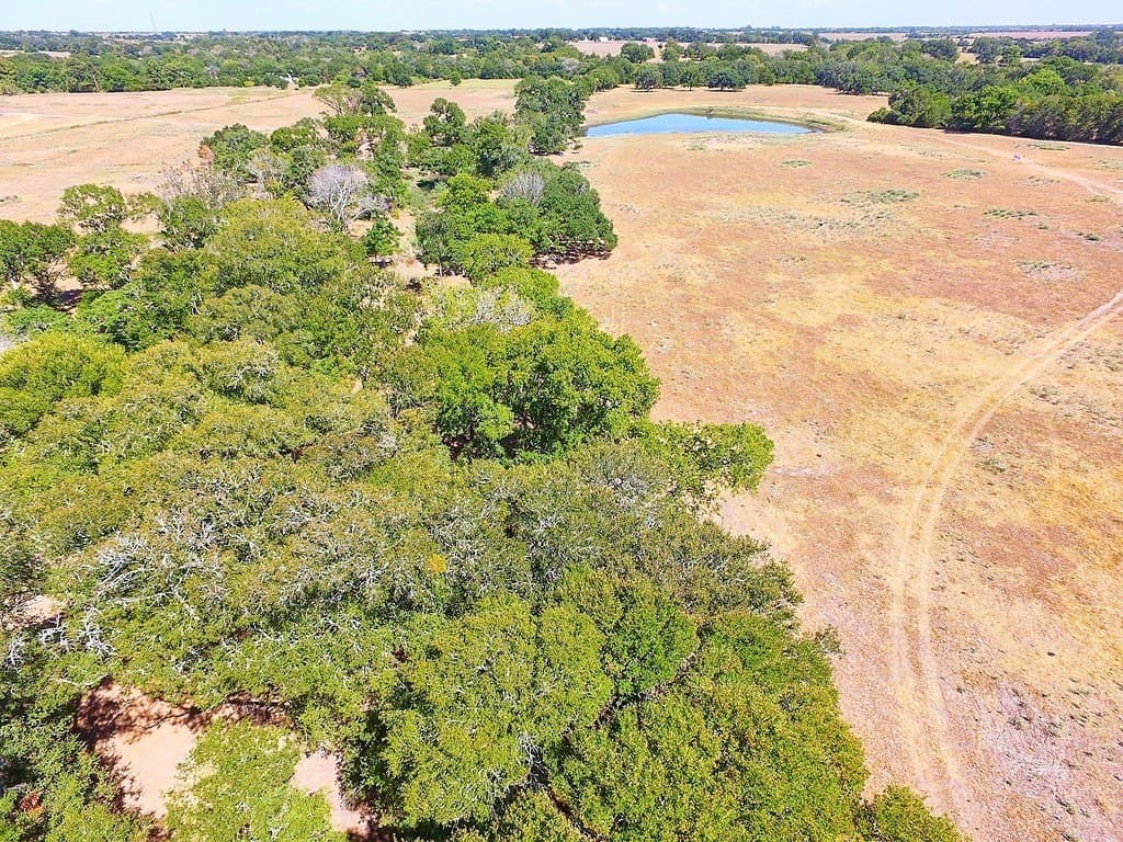 58 acres in Colorado County - photo 12
