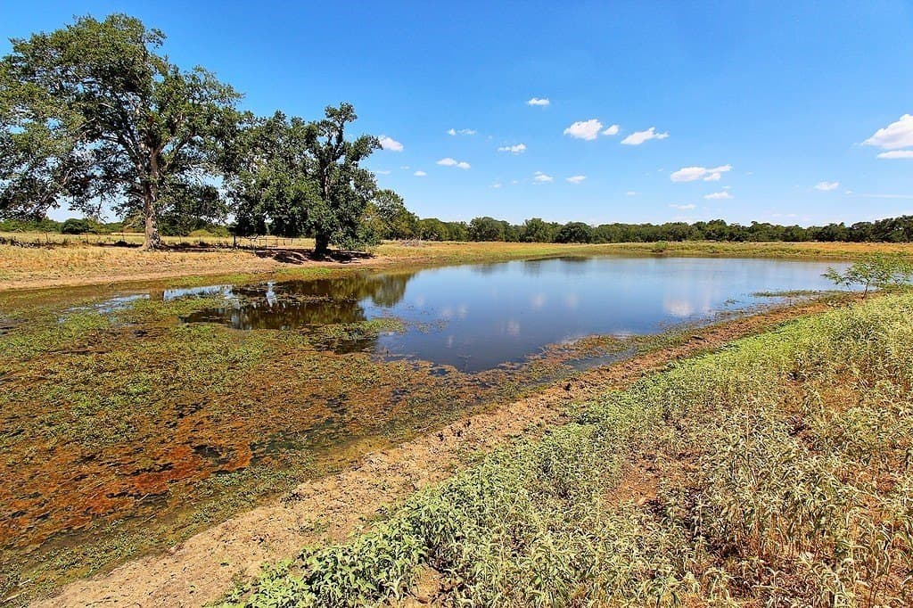 58 acres in Colorado County - photo 13