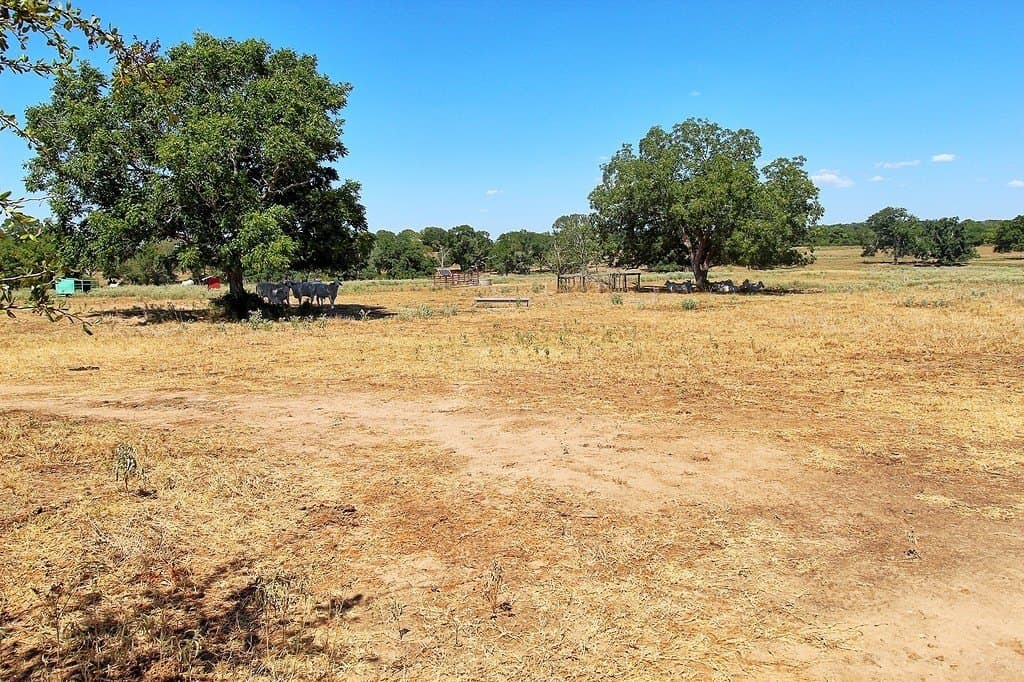 58 acres in Colorado County - photo 24