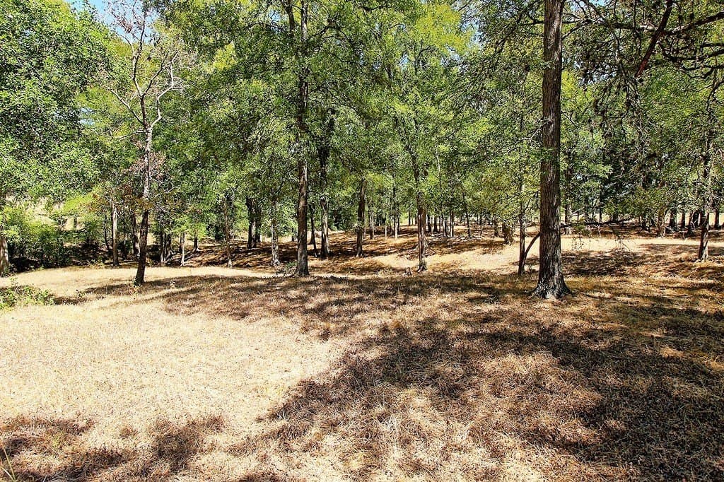 58 acres in Colorado County - photo 14