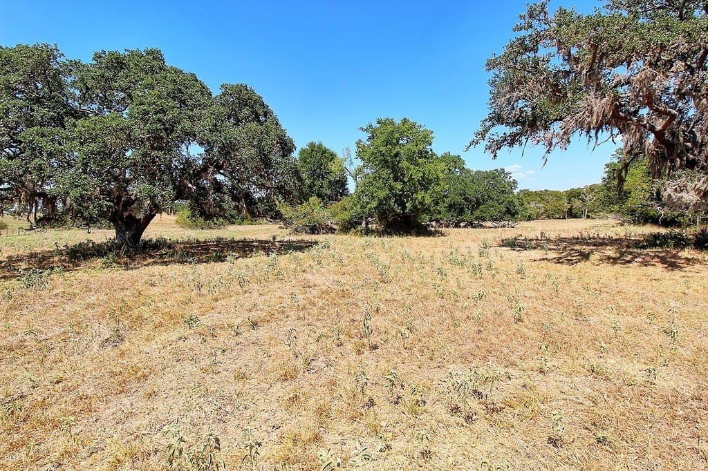 58 acres in Colorado County - photo 17