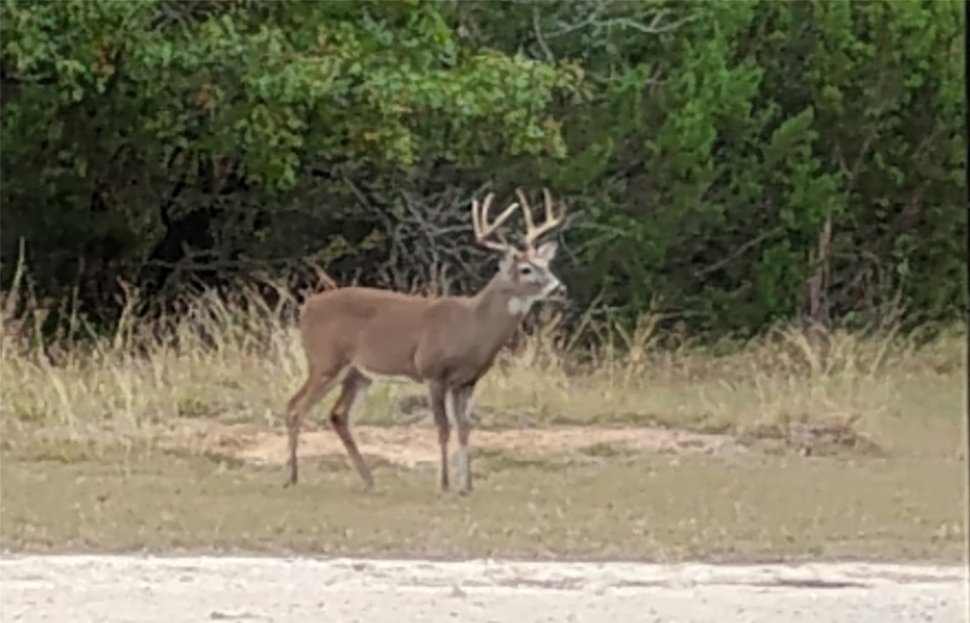 59 acres in Erath County - photo 36