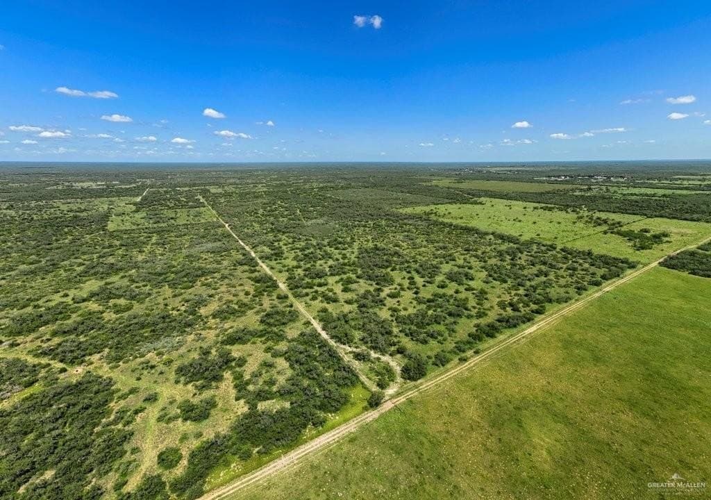 260 acres in Starr County gallery image 4