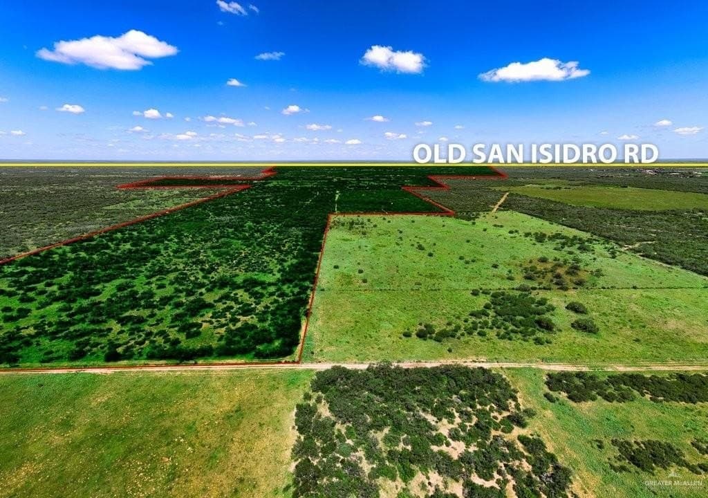 260 acres in Starr County gallery image 3