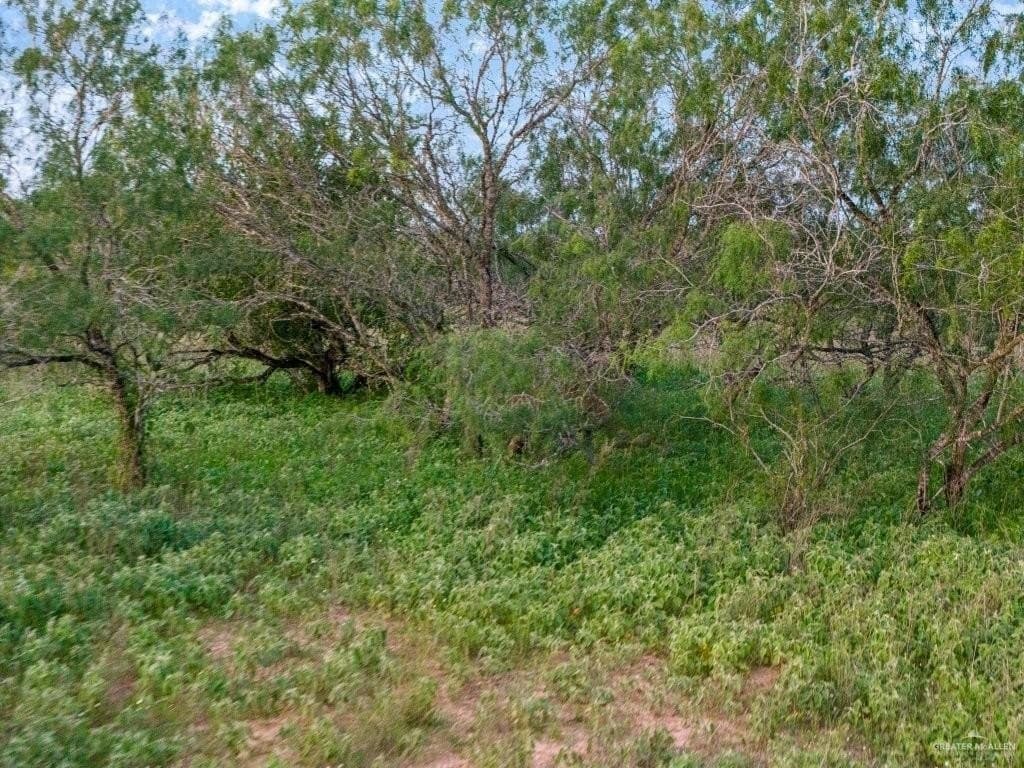 260 acres in Starr County - photo 10