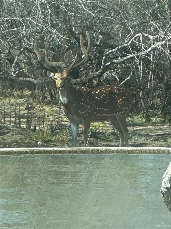 260 acres in Starr County - photo 12