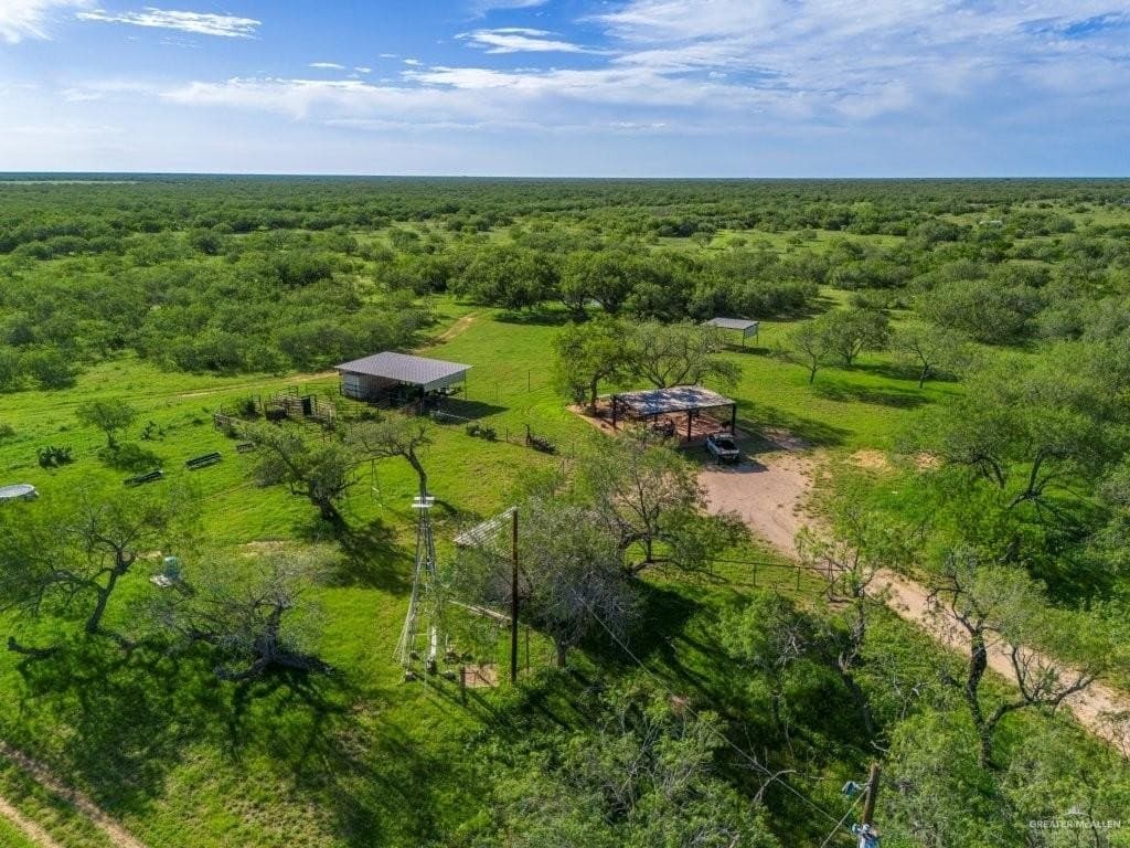260 acres in Starr County - photo 8
