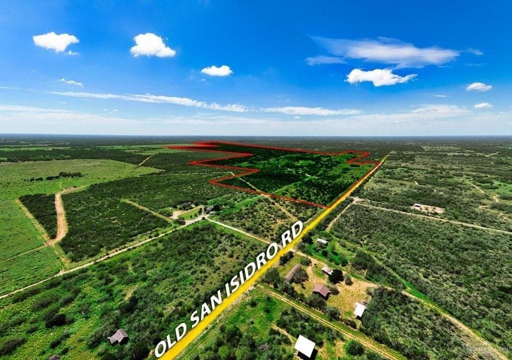 260 acres in Starr County gallery image 2