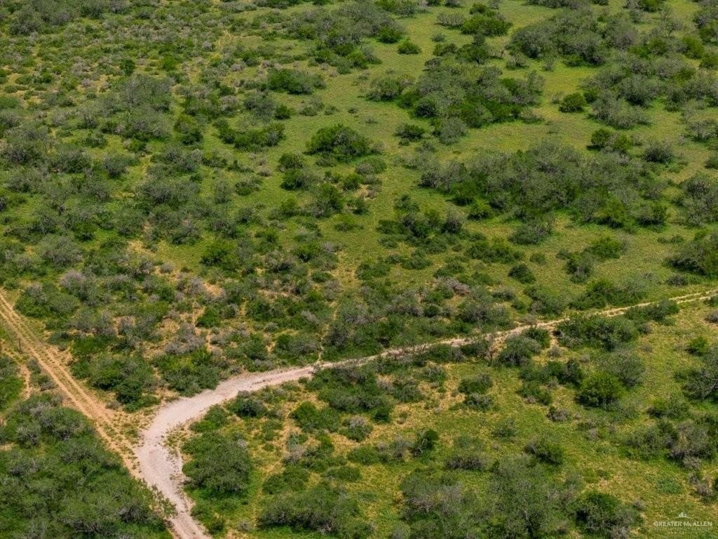 260 acres in Starr County - photo 7