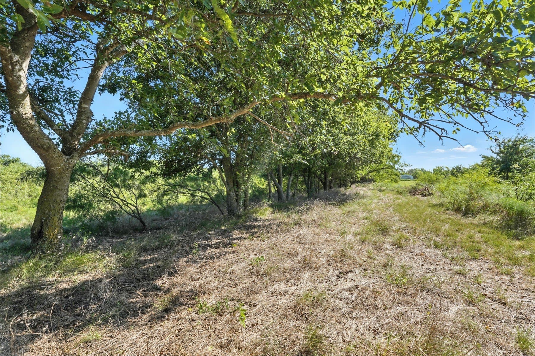 37.5 acres in Johnson County - photo 35